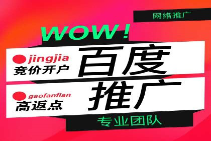 成功案例解析：SEM竞价托管的优化之路